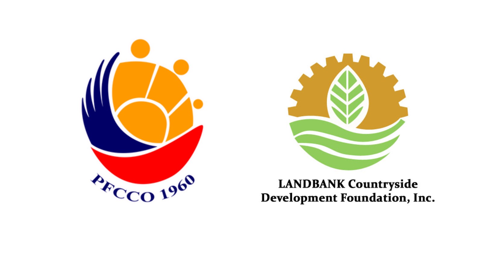 LCDFI FINLIT Program